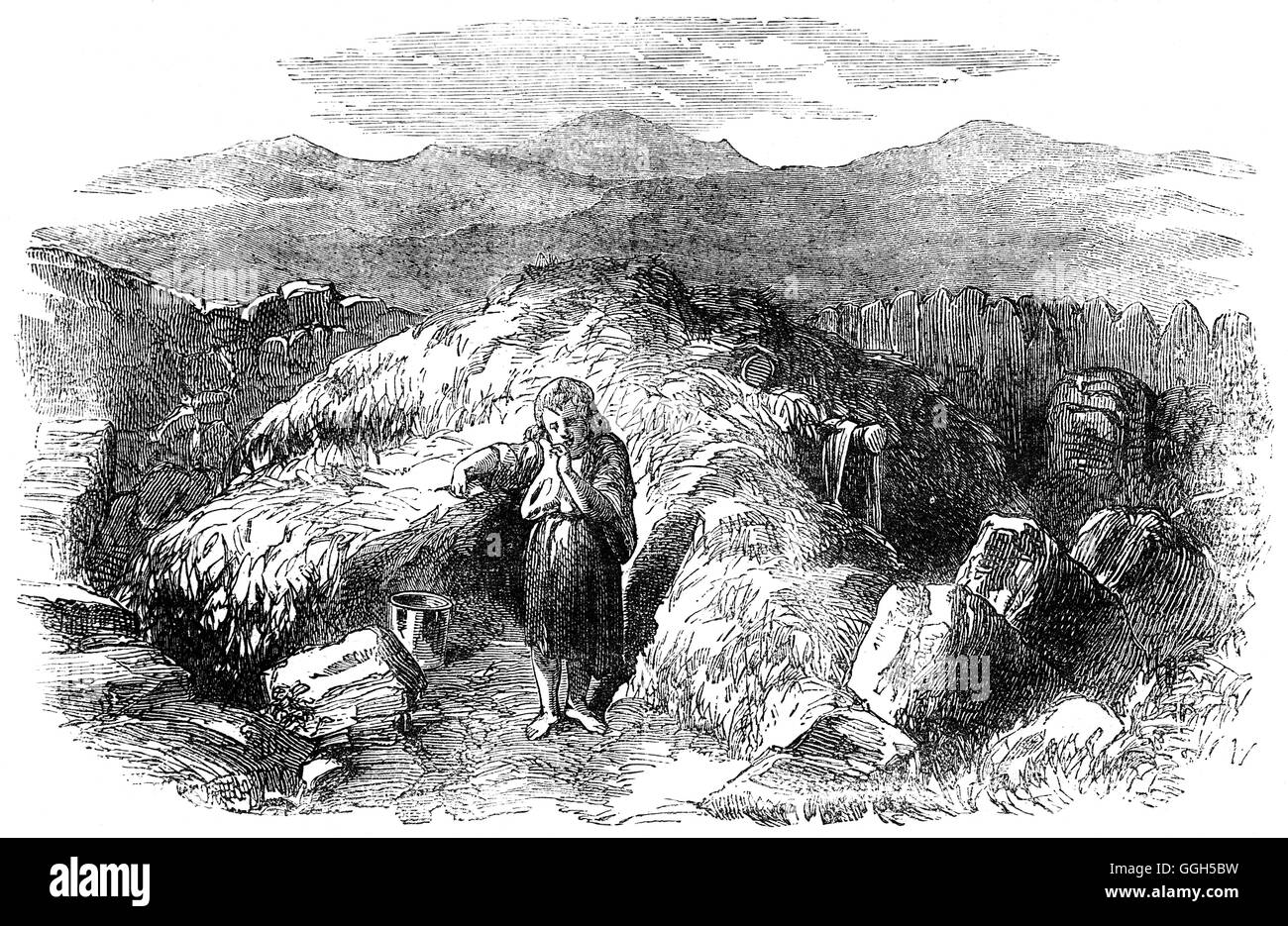 Carestia irlandese immagini e fotografie stock ad alta risoluzione Alamy