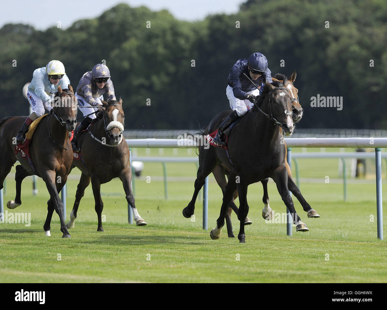 Royal Artillery cavalcato da Colm O'Donoghue (blu scuro) vince la Betfred rosa di Lancaster picchetti durante Betfred rosa di Lancaster Stakes Ladies giorno all Ippodromo di Haydock Park. Stampa foto di associazione. Picture Data: Sabato 6 agosto 2016. Vedere la storia di PA RACING Haydock. Foto di credito dovrebbe leggere: John Giles/filo PA. Foto Stock