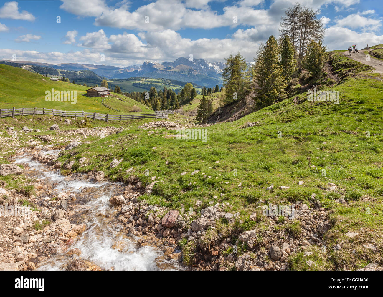 Geografia / viaggi, Italia, Alto Adige, Ruscello di montagna sull'Alpe di alpeggio, Additional-Rights-Clearance-Info-Not-Available Foto Stock