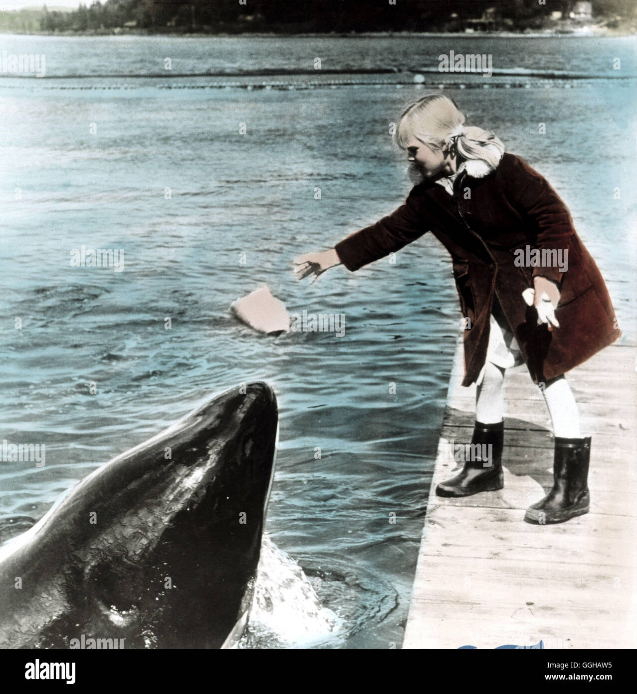 NAMU DER RAUBWAL / Namu la balena killer USA 1966 / Laslo Benedek Szene mit NAMU und Lisa Rand (ROBIN MATTSON) Regie: Benedek Laslo aka. Namu il Killer Whale Foto Stock