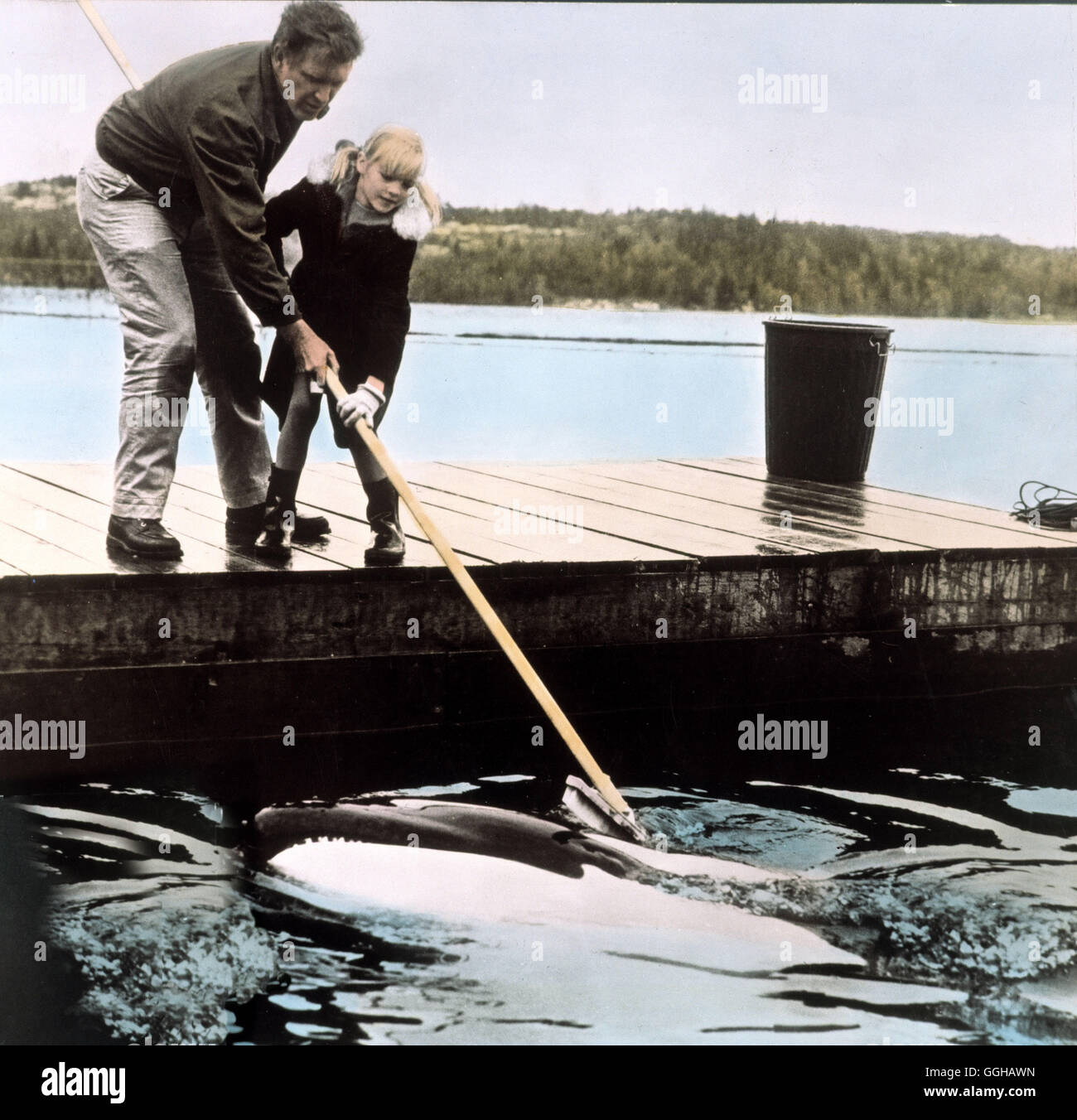NAMU DER RAUBWAL / Namu la balena killer USA 1966 / Laslo Benedek Szene mit Lisa Rand (ROBIN MATTSON) Regie: Benedek Laslo aka. Namu il Killer Whale Foto Stock
