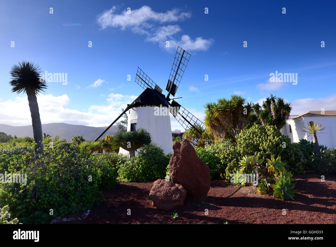 Mill vicino a Antigua, Fuerteventura, Isole Canarie, Spagna Foto Stock