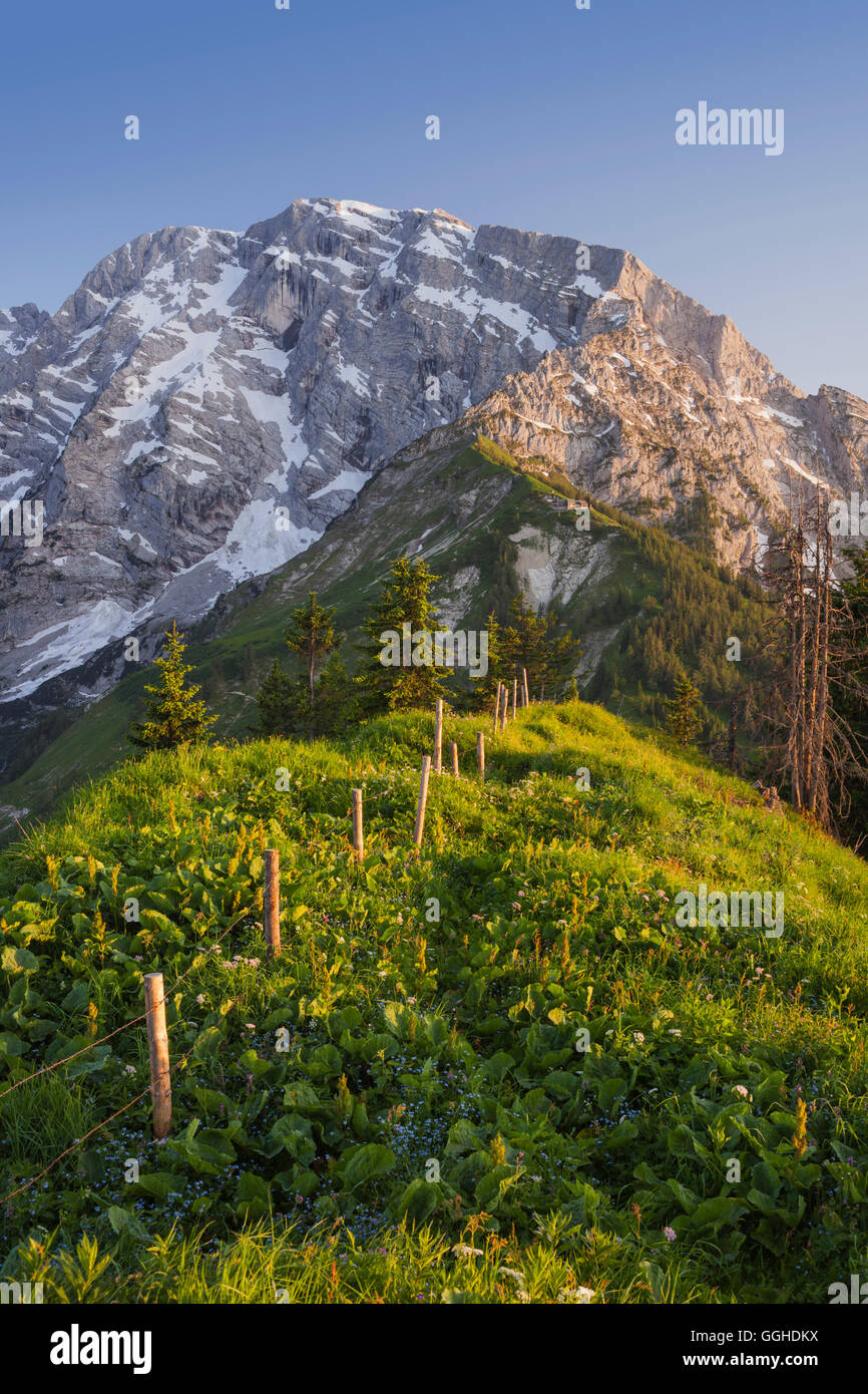 Hoher Goell vedere da Ahornbuechsenkogel, la recinzione di confine tra Salisburgo e Baviera, Berchtesgadener Land Baviera, Germania, Australia Foto Stock