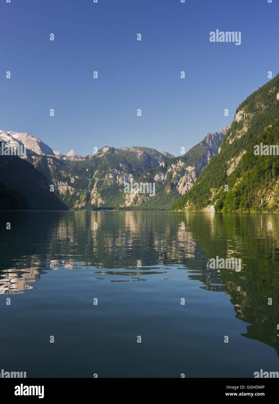 Vista dalla sponda meridionale del lago Koenigssee, Steinernes Meer, Parco Nazionale di Berchtesgaden, Berchtesgadener Land Baviera, Ge Foto Stock