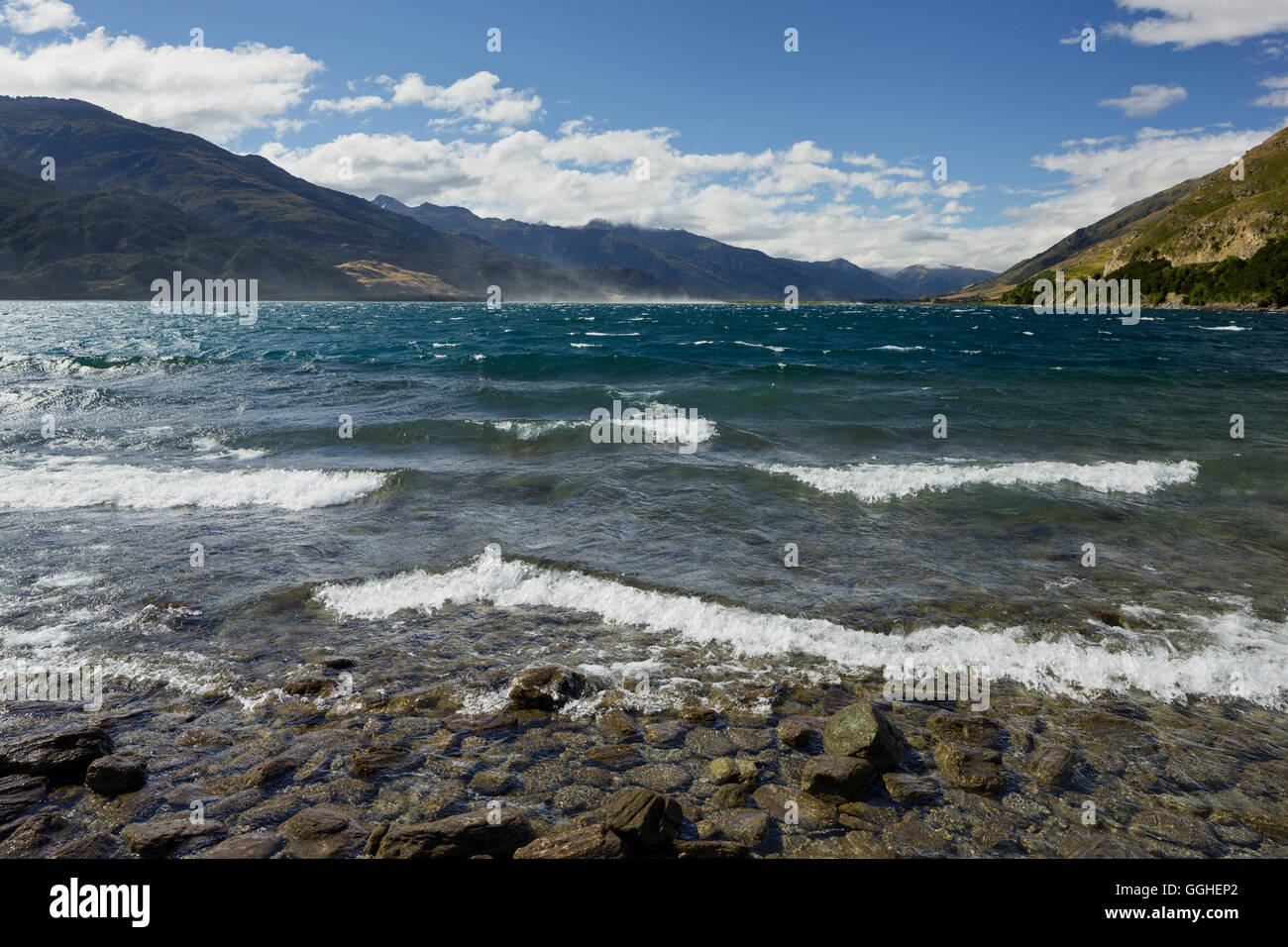 Riva del Lago Wanaka, Otago, Isola del Sud, Nuova Zelanda Foto Stock