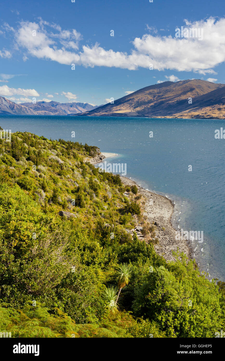 Il lago Wanaka, Otago, Isola del Sud, Nuova Zelanda Foto Stock