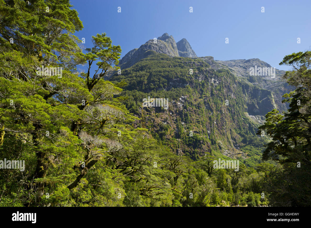 Montare Talbot, Alpi, il Parco Nazionale di Fiordland, Southland, Isola del Sud, Nuova Zelanda Foto Stock