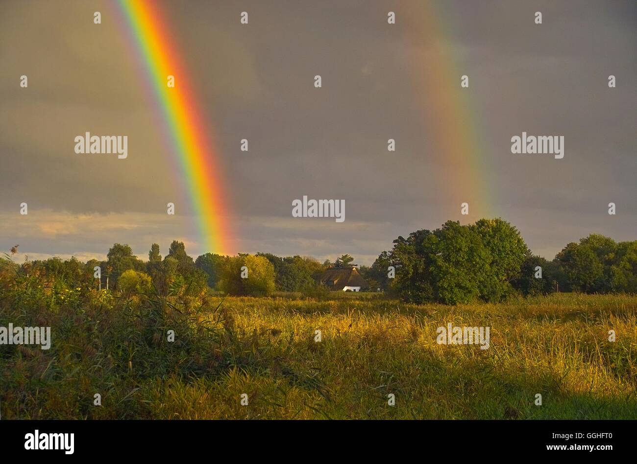 Doppio arcobaleno sul paesaggio, pascolo / Doppelter Regenbogen über Landschaft in Bremen-St Magnus, Foto Stock