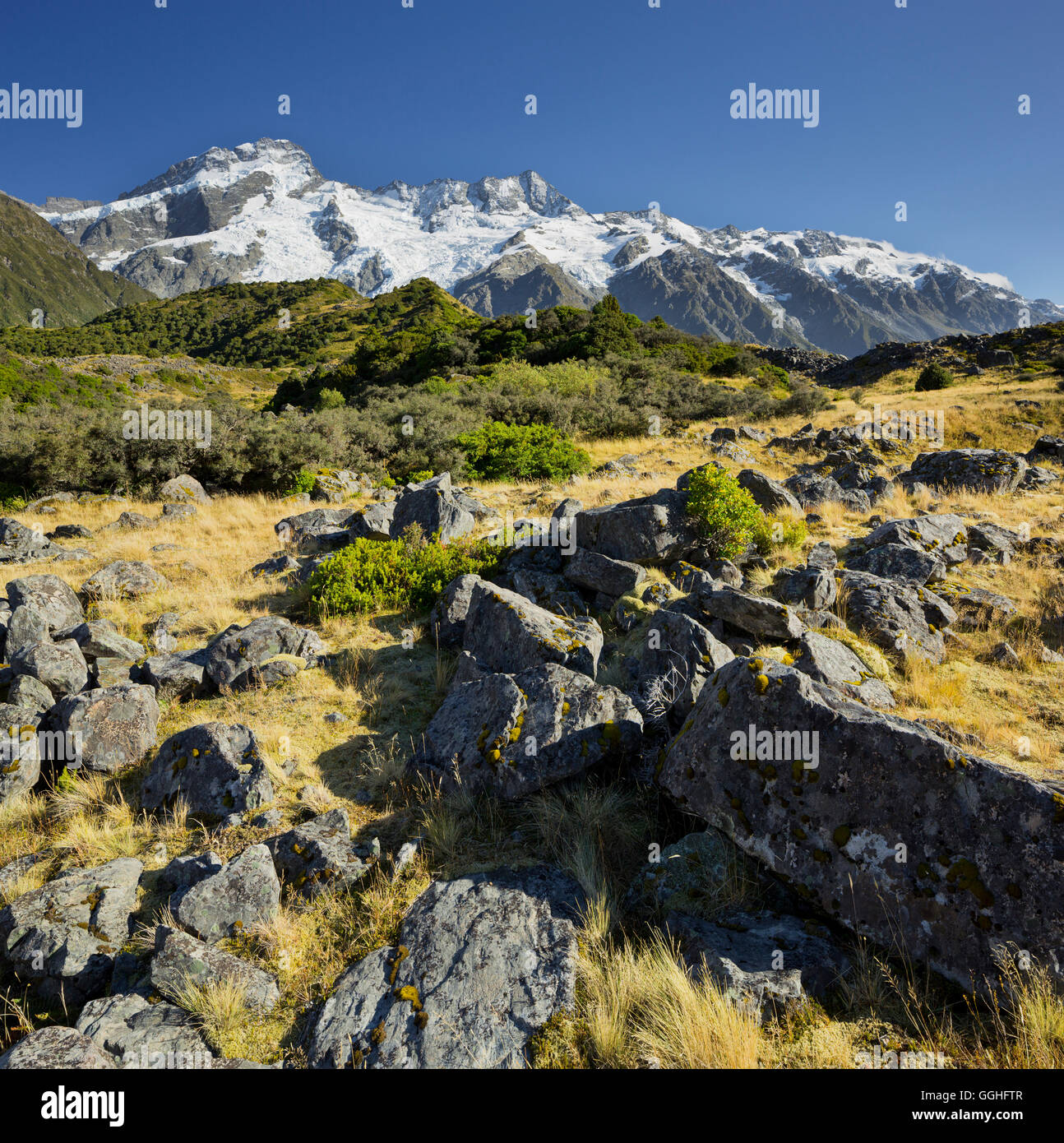 Mount Sefton, parco nazionale di Mount Cook, Canterbury, Isola del Sud, Nuova Zelanda Foto Stock