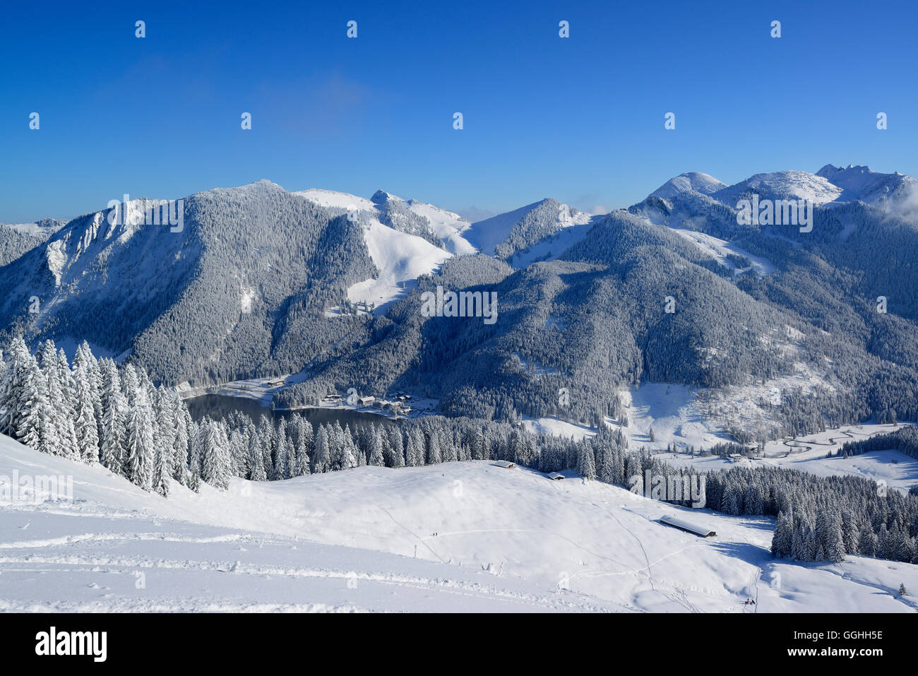 Vista dal Monte Rosskopf di Spitzing con Spitzingsee, Prealpi bavaresi, Alta Baviera, Germania Foto Stock