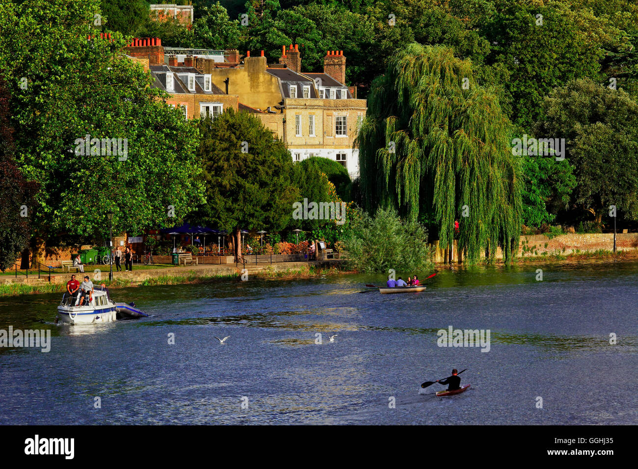 Lungo il fiume Tamigi, Richmond Upon Thames, Surrey, England, Regno Unito Foto Stock