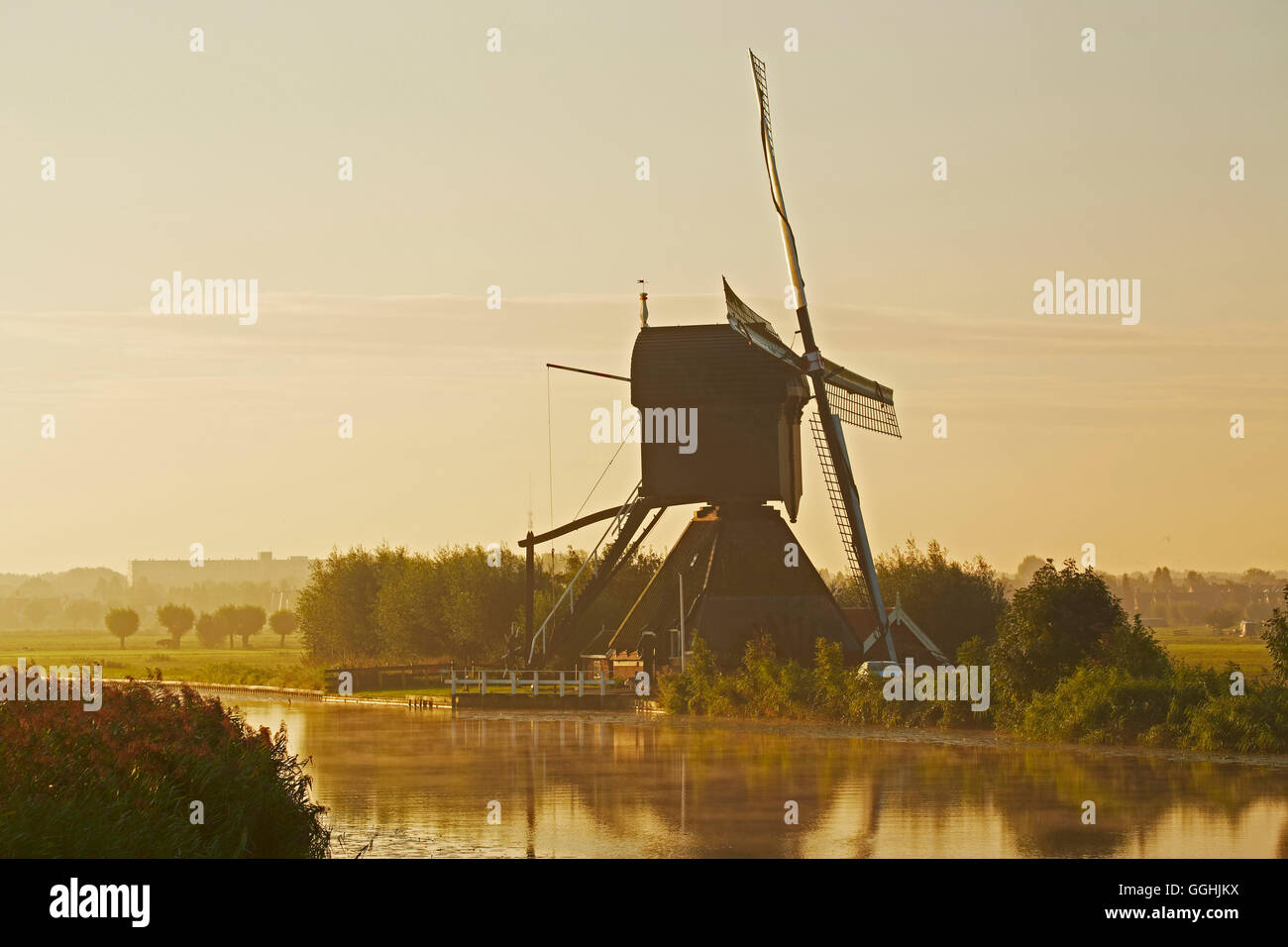 Primo sole del mattino presso i vecchi mulini a vento a Kinderdijk, Provincia di Paesi Bassi meridionali, South Holland, Paesi Bassi, Europa Foto Stock