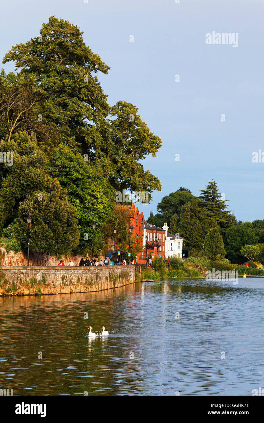 Quay lungo il fiume Exe, Exeter Devon, Inghilterra, Gran Bretagna Foto Stock