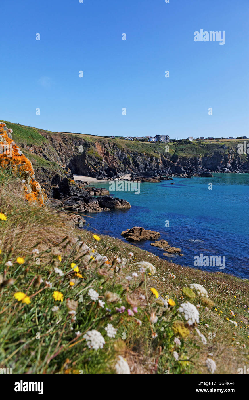 Housel Bay e Housel Bay Hotel, la lucertola, Cornwall, Inghilterra, Gran Bretagna Foto Stock