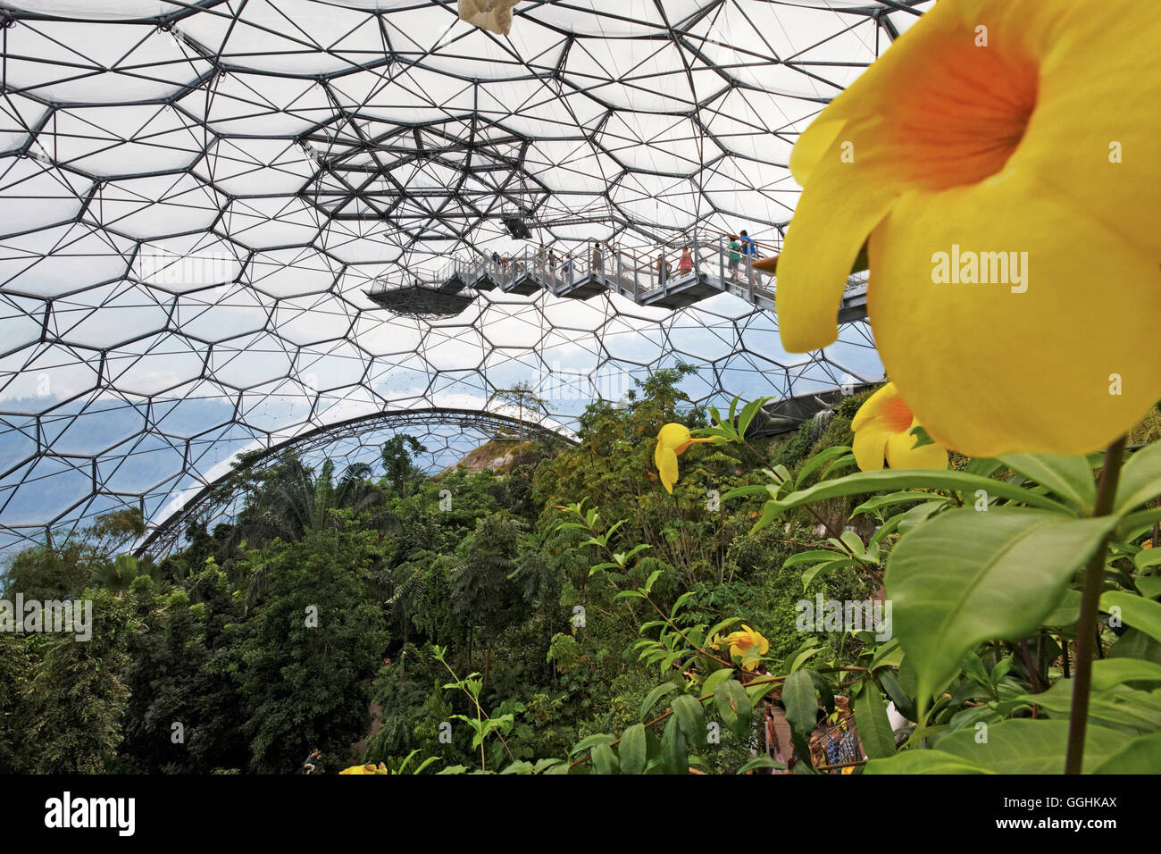 Tropical cupole di vetro, Eden Project, St. Austell, Cornwall, Inghilterra, Gran Bretagna Foto Stock