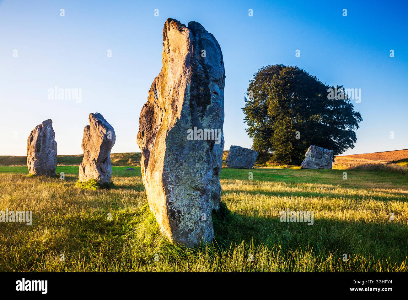 Sarsen le pietre a sunrise in Avebury, Wiltshire. Foto Stock