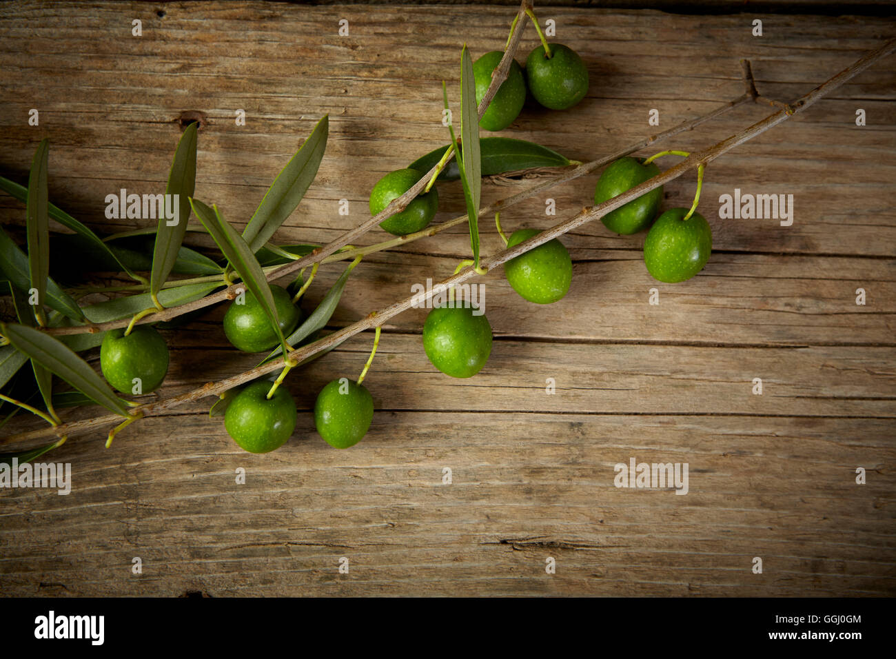 Green Olive Branch sul tavolo di legno Foto Stock