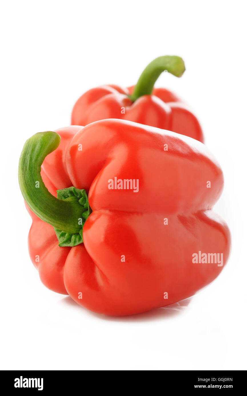 Mature pepe rosso isolato su sfondo bianco Foto Stock