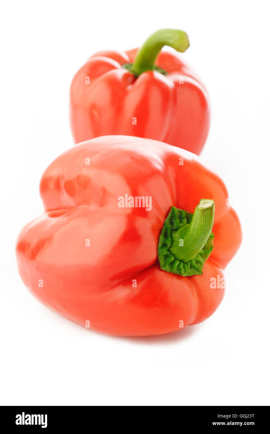Mature pepe rosso isolato su sfondo bianco Foto Stock