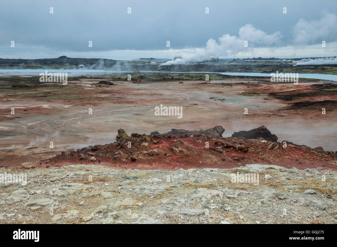 La cottura a vapore di geyser vicino a Keflavik, Islanda. Foto Stock