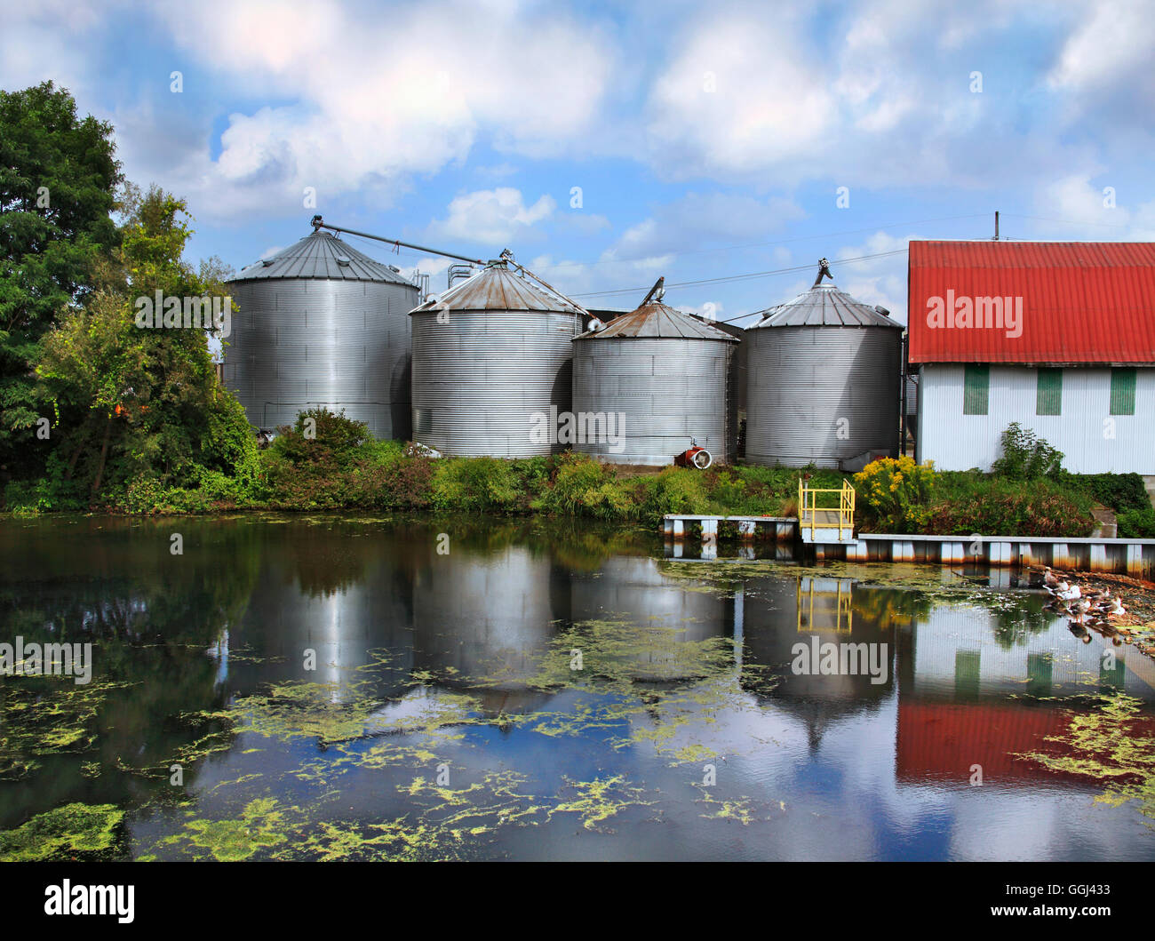 Una scena pastorale, quattro Silos, un fienile e un nuvoloso cielo blu riflessa nella superficie vetrosa di un laghetto della Pennsylvania, STATI UNITI D'AMERICA Foto Stock