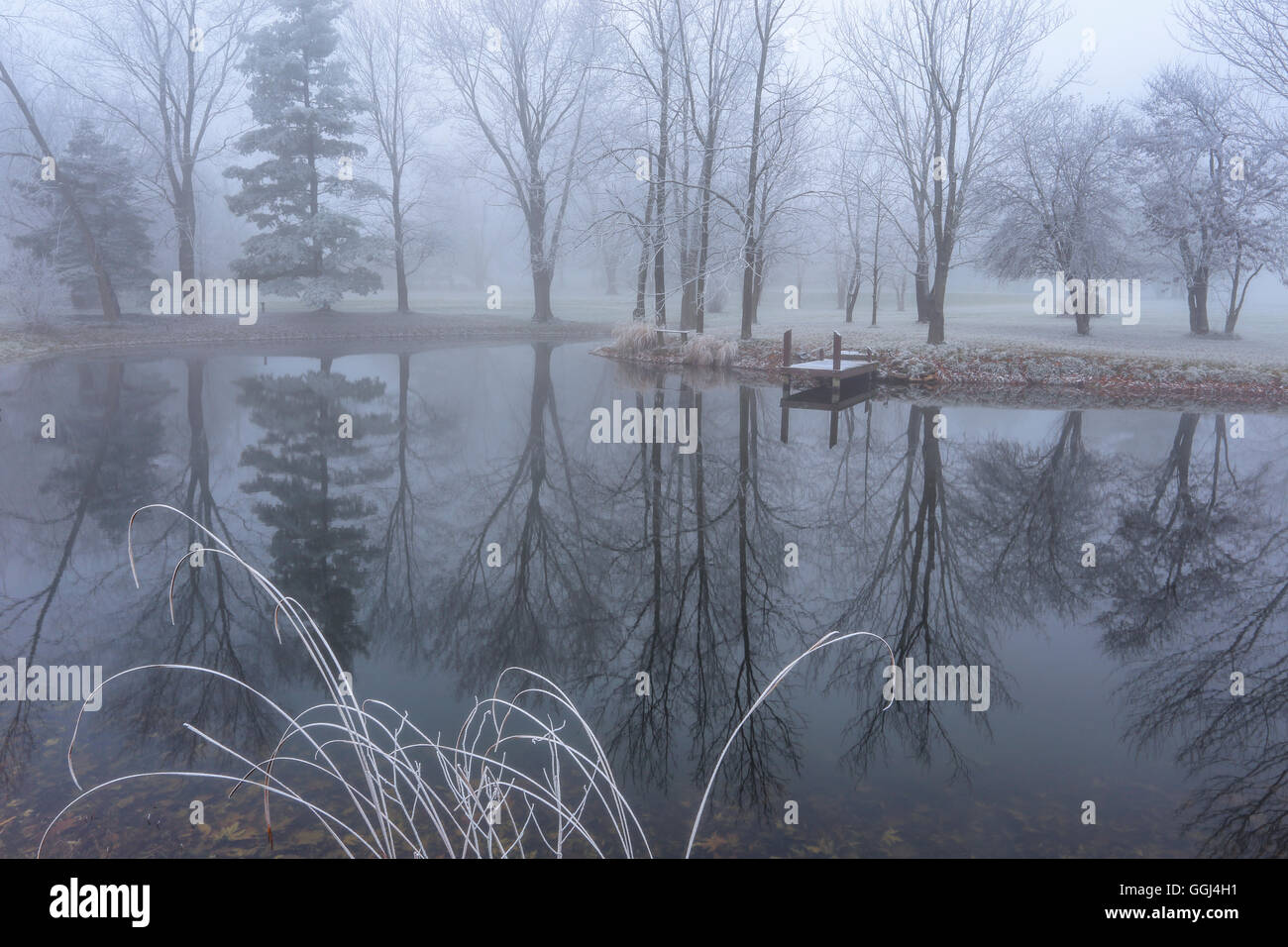 Un tranquillo laghetto su una nebbia e frosty tardo autunno mattina in a sudovest Ohio vicino a Cincinnati, Stati Uniti d'America Foto Stock