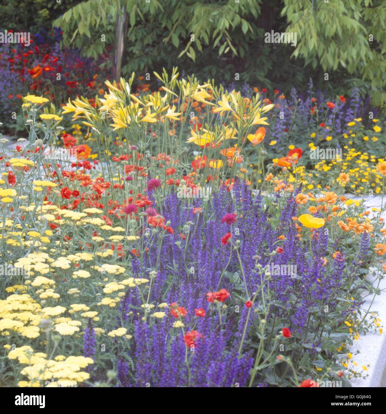 Chelsea Flower Show 2004- - parte di "vita" Giardino deisigned da Jane Hudson e Erik De Maeijer per Cancer Research UK.- - (Silve Foto Stock