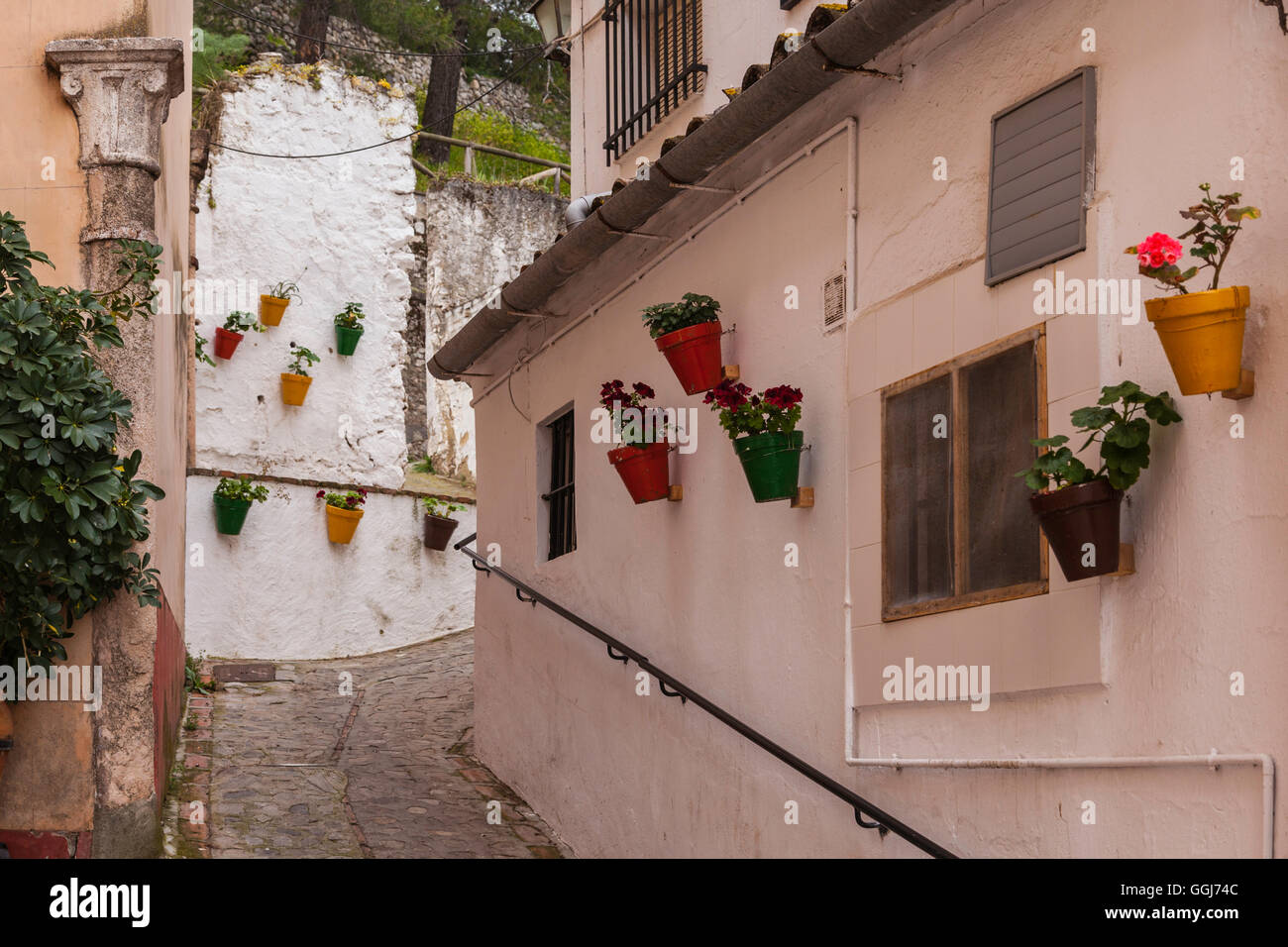 Spagnolo parete case schierate con vasi di fiori con fiori assortiti in Sahara de la Sierra. Foto Stock