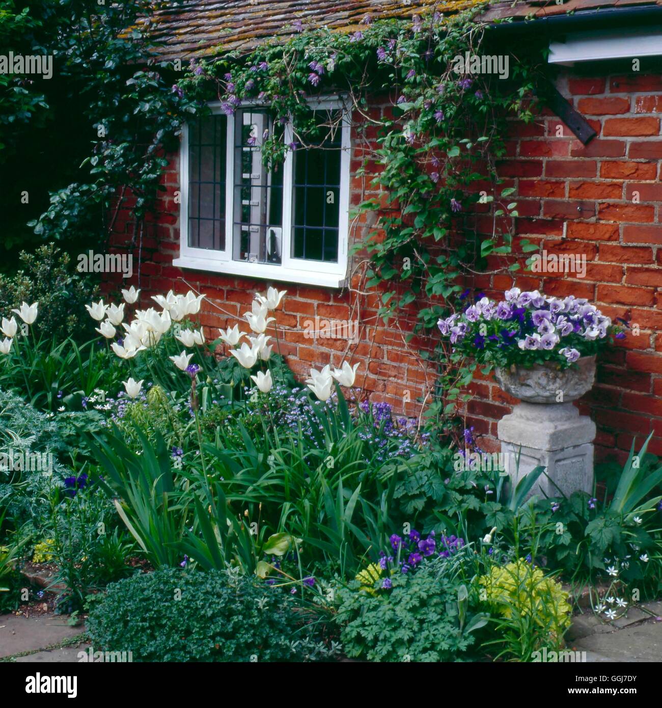 Garden Cottage - (si prega di credito: Foto di Orticoltura/ Sun House Long Melford) Culla069003 Phot Foto Stock