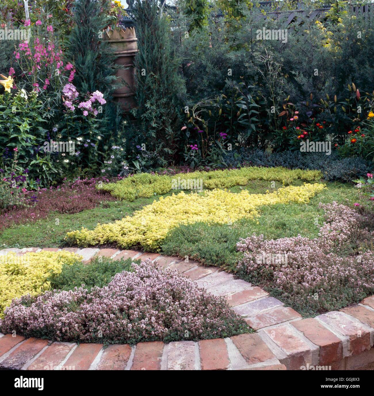 Fragrante - giardino con prato di timo FFG035150 Foto Stock