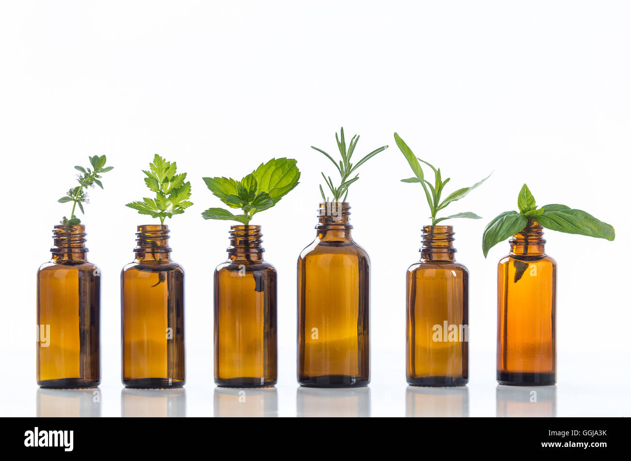 Bottiglia di olio essenziale con herbsON WHITE Foto Stock