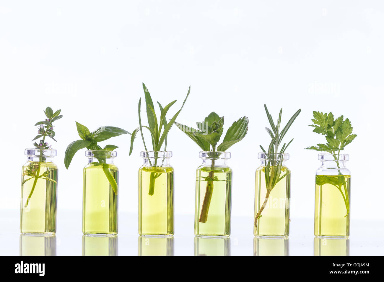 Olio essenziale bottiglia con erbe aromatiche basilico fiore, fiore di basilico, rosmarino, origano, salvia, prezzemolo ,il timo e le foglie di menta Foto Stock