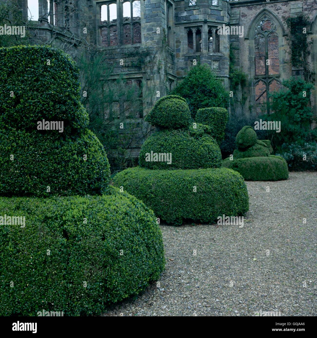 Nymans Garden NT - Handcross West Sussex- - (si prega di posizione di credito) GND058313 Horticu foto Foto Stock