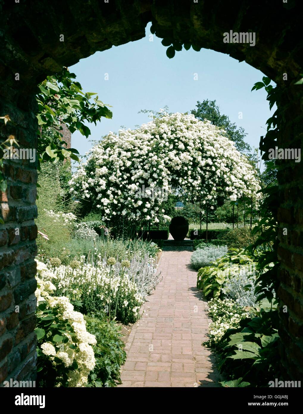 Sissinghurst NT - Cranbrook Kent - Il giardino Bianco- - si prega di credito: Foto Hort/Sissinghurst NT GND Compul081283 Foto Stock