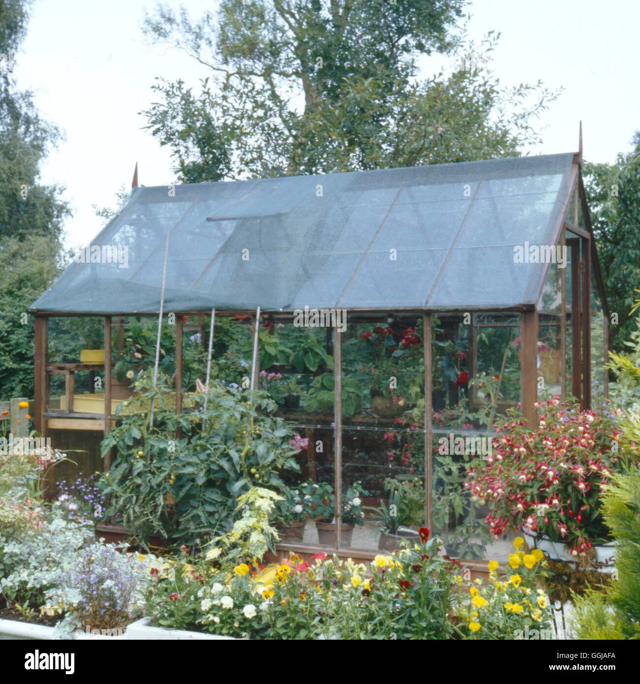 Serra e giardino - (Nota: ombreggiatura netta al di sopra del tetto della serra) GHG017743 Horticult foto Foto Stock