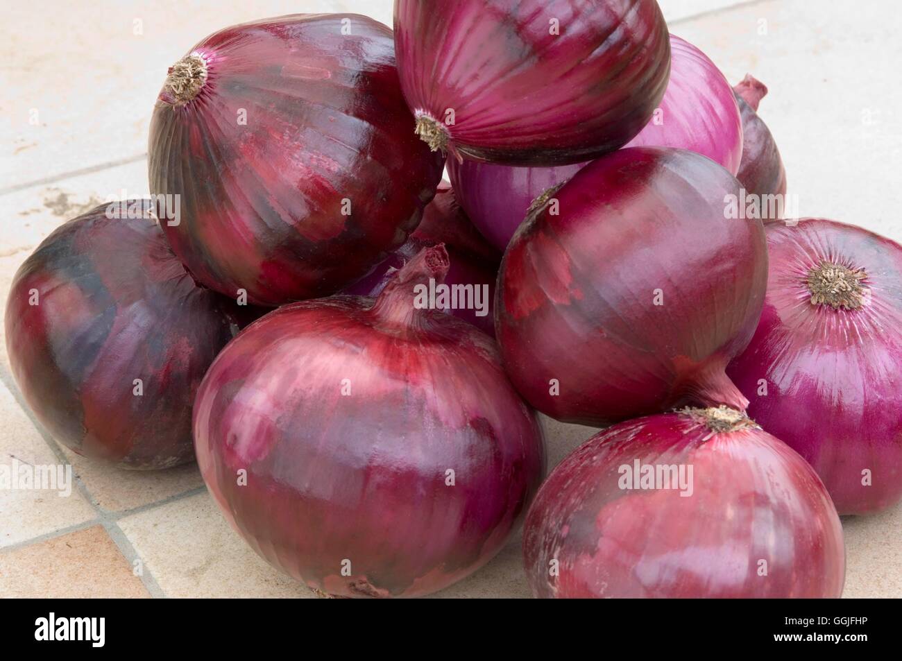 Onion 'Red Globe'- - (organico) MIW251977 Foto Stock