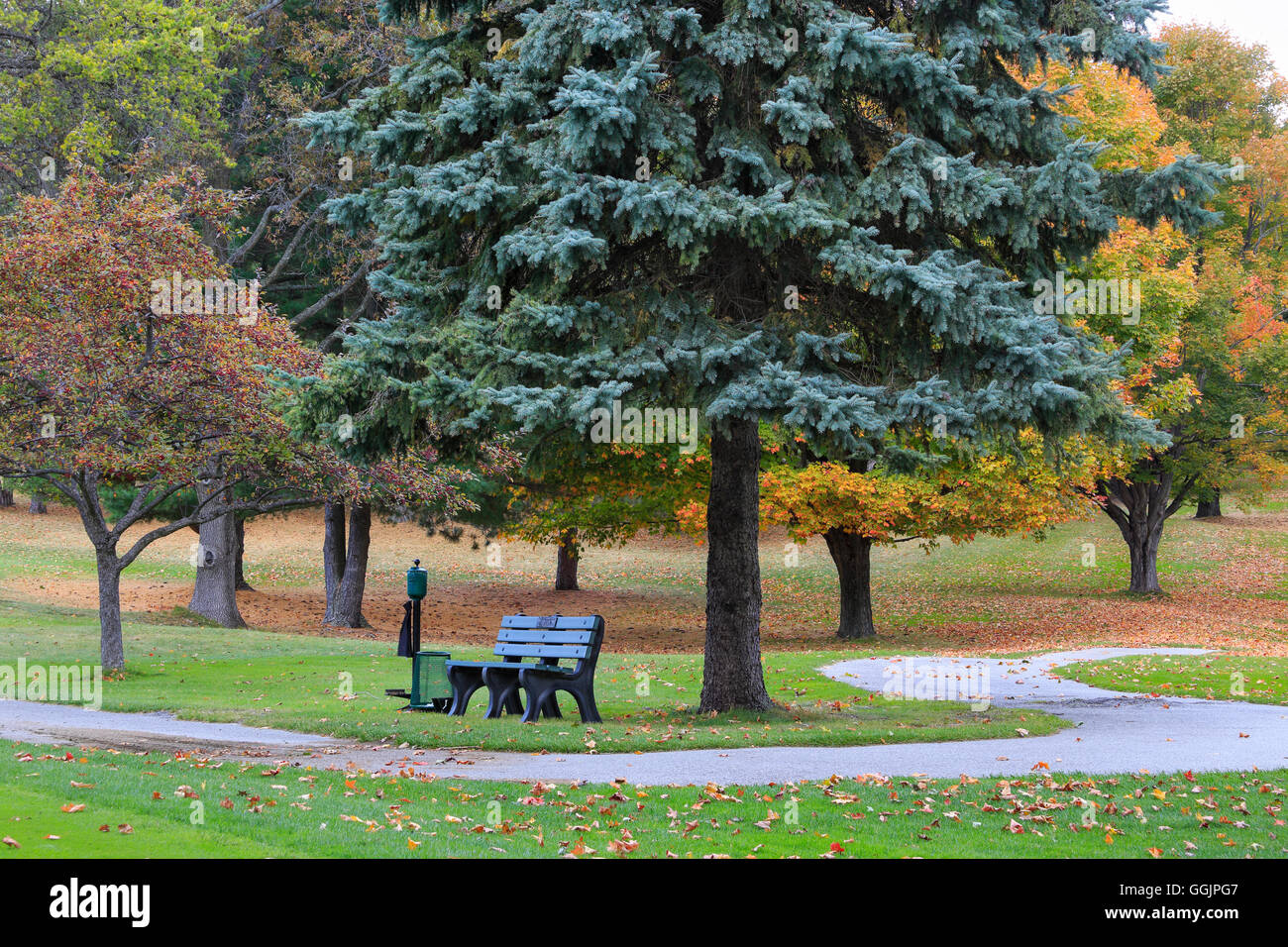Un banco e golf cart percorso in autunno vicino al Grande Sable punto, Ludington Michigan, Penisola inferiore, STATI UNITI D'AMERICA Foto Stock