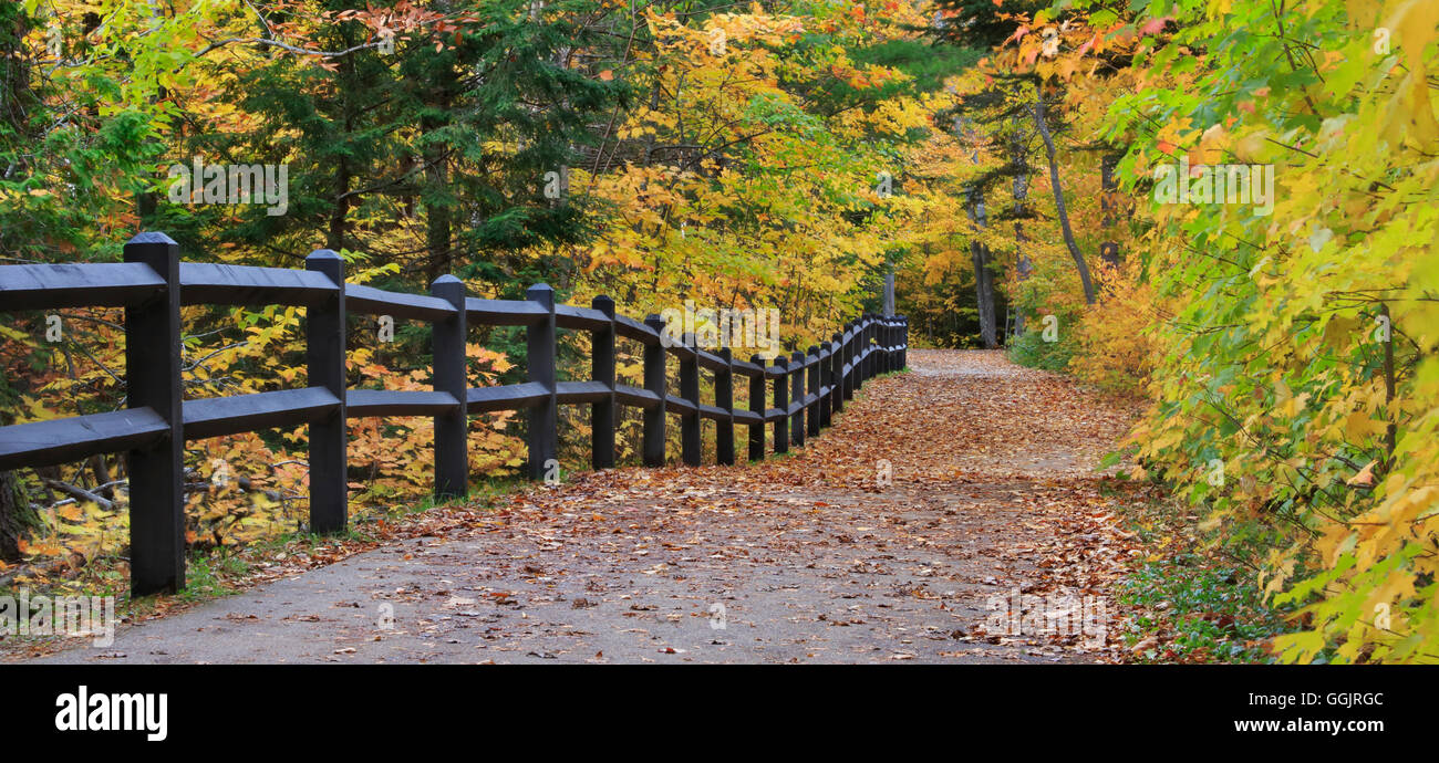 Una recinzione e colorato alberata percorso in autunno che conducono in basso verso le cascate, Tahquamenon Falls Michigan, Penisola Superiore, STATI UNITI D'AMERICA Foto Stock