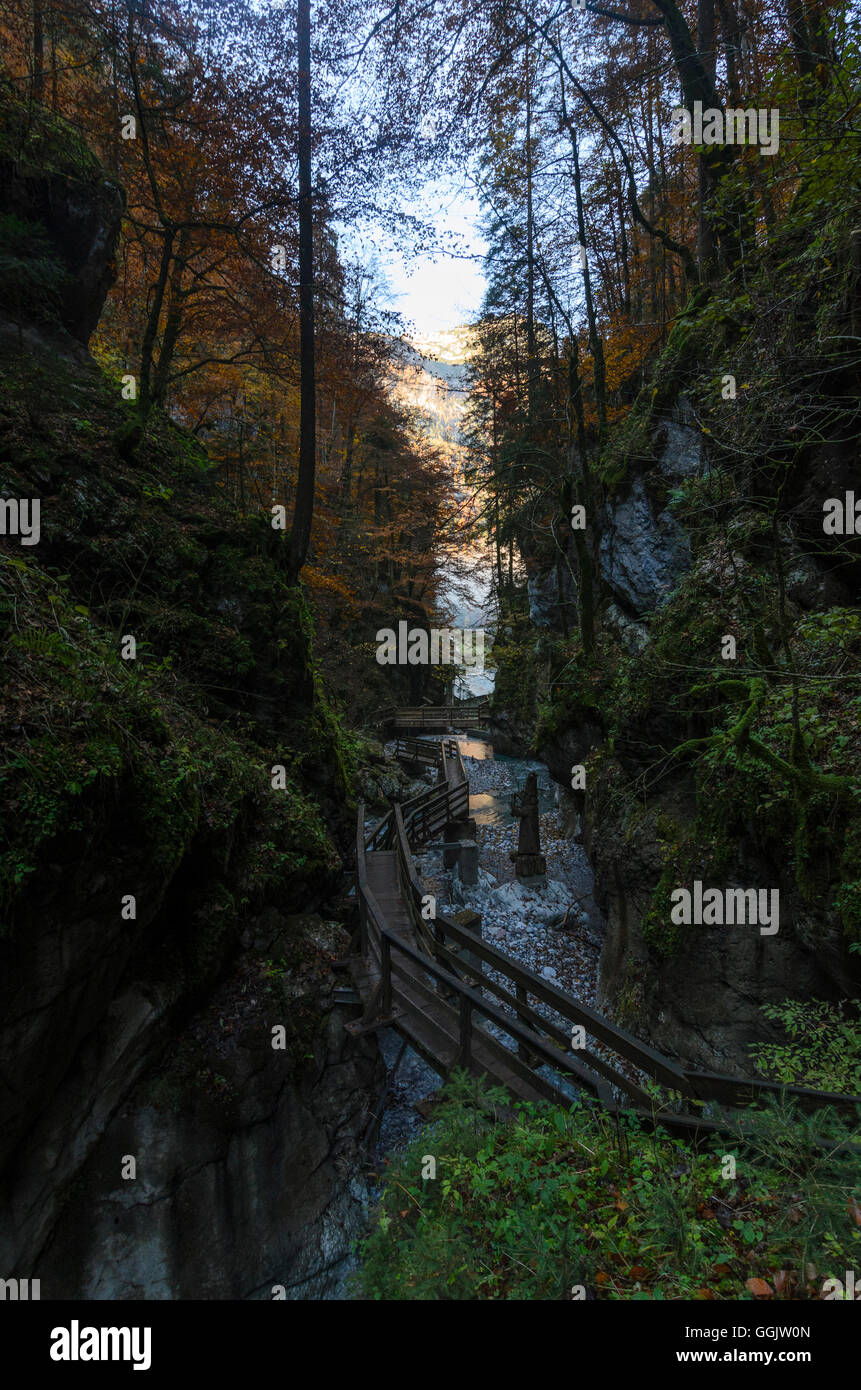 Weißbach bei Lofer: gola Seisenbergklamm, Austria, Salisburgo, del Pinzgau Foto Stock