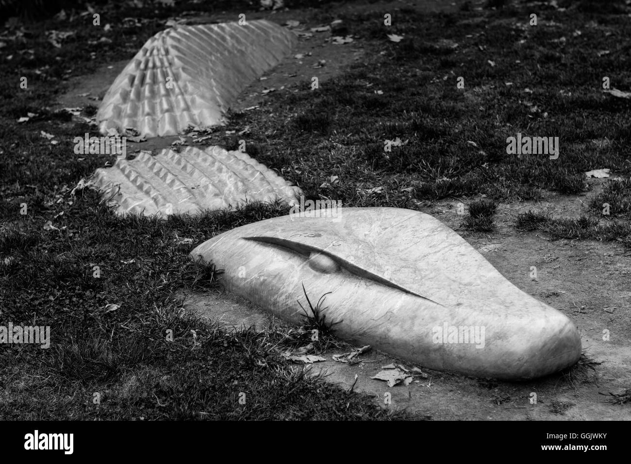 Un coccodrillo in marmo emergenti dall'erba Foto Stock