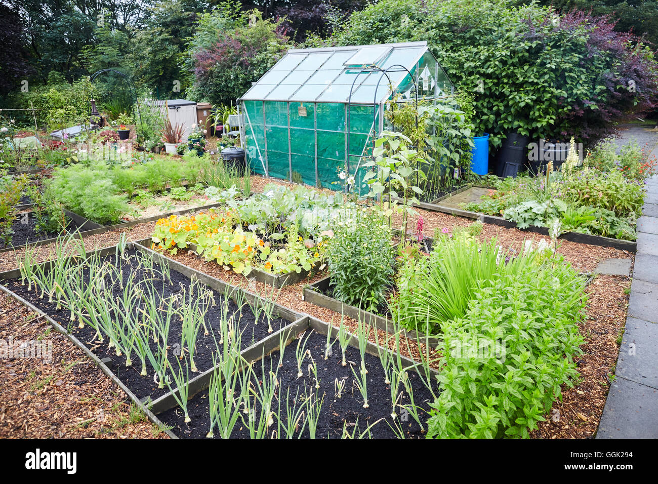 Riparto tenute in Rochdale Manchester Inghilterra England Regno Unito coltivazione degli ortaggi sul sito ordinate Foto Stock