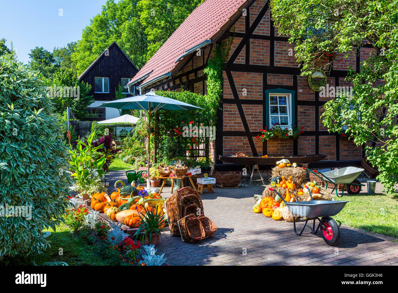 Casa colonica con giardino in Lehde, zucca raccolta, Lehde, Spreewald, riserva della biosfera dall'UNESCO, Brandeburgo, Germania, Europa Foto Stock