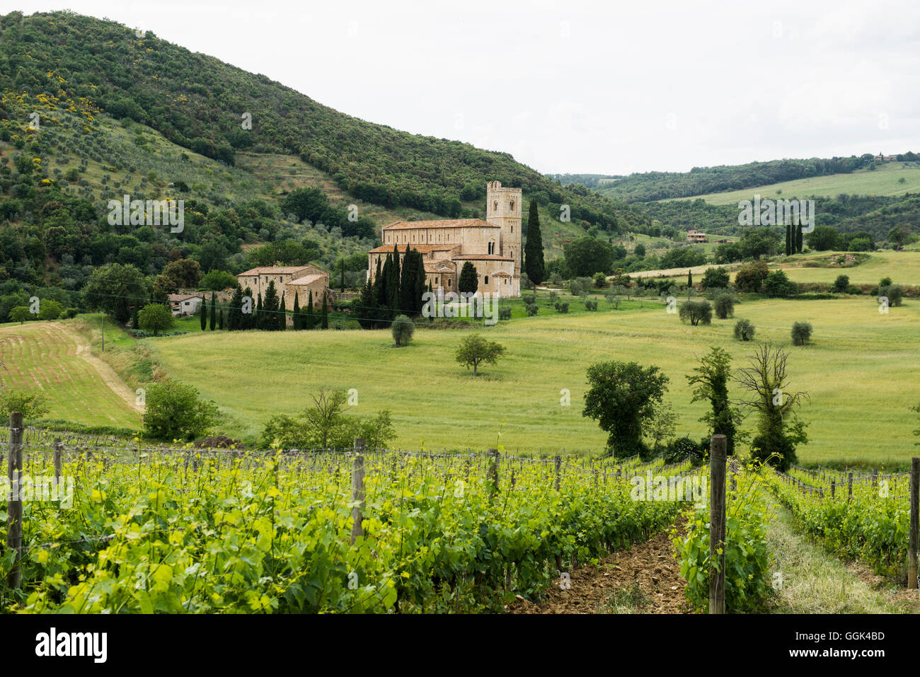 Abbazia di Sant'Antimo vicino a Montalcino, Val d'Orcia, in provincia di Siena, Toscana, Italia, patrimonio mondiale dell UNESCO Foto Stock