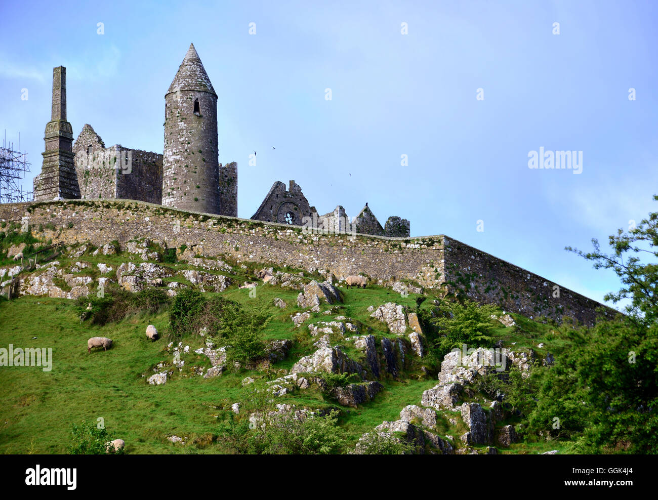 Rocca di Cashel, Cashel, nella contea di Tipperary, Irlanda Foto Stock
