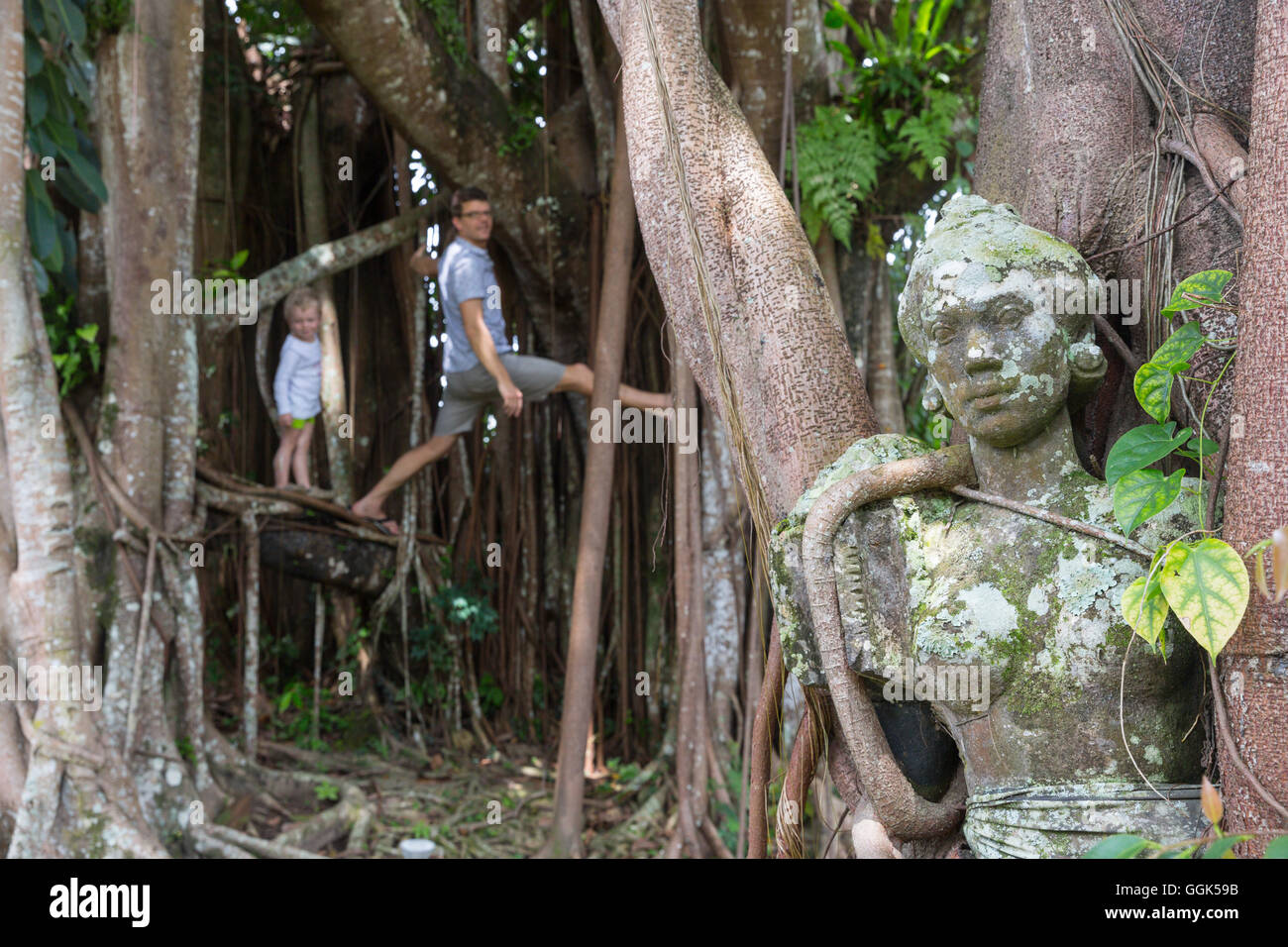 Banyan Tree, scultura, tempio Balinese ballerino, padre e figlio di arrampicata in struttura, giardino dell'arte, il Museo Puri Lukis Foto Stock