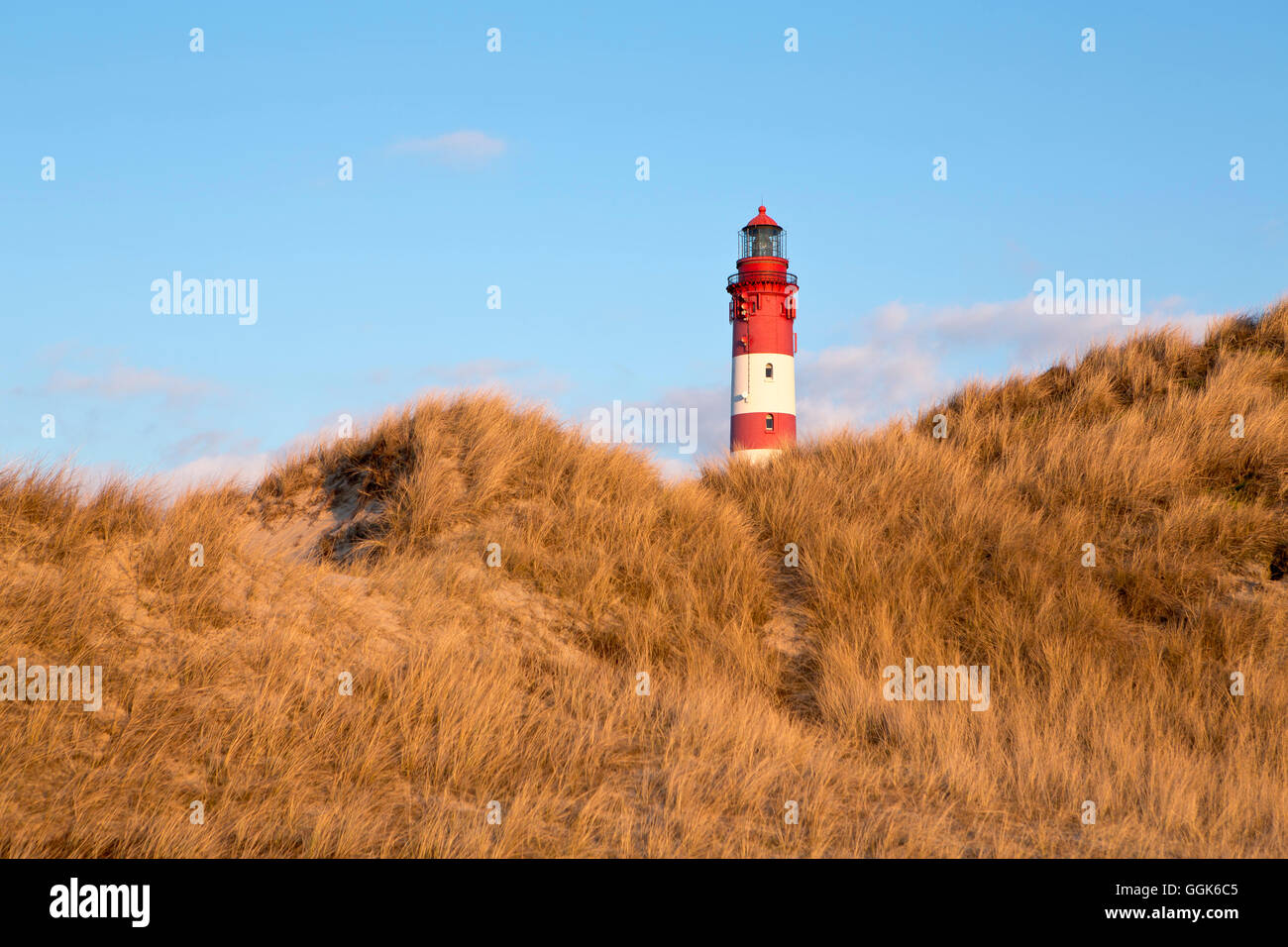 Amrum faro dietro le dune di sabbia su una soleggiata giornata invernale e, Amrum island, Schleswig-Holstein, Germania, Europa Foto Stock