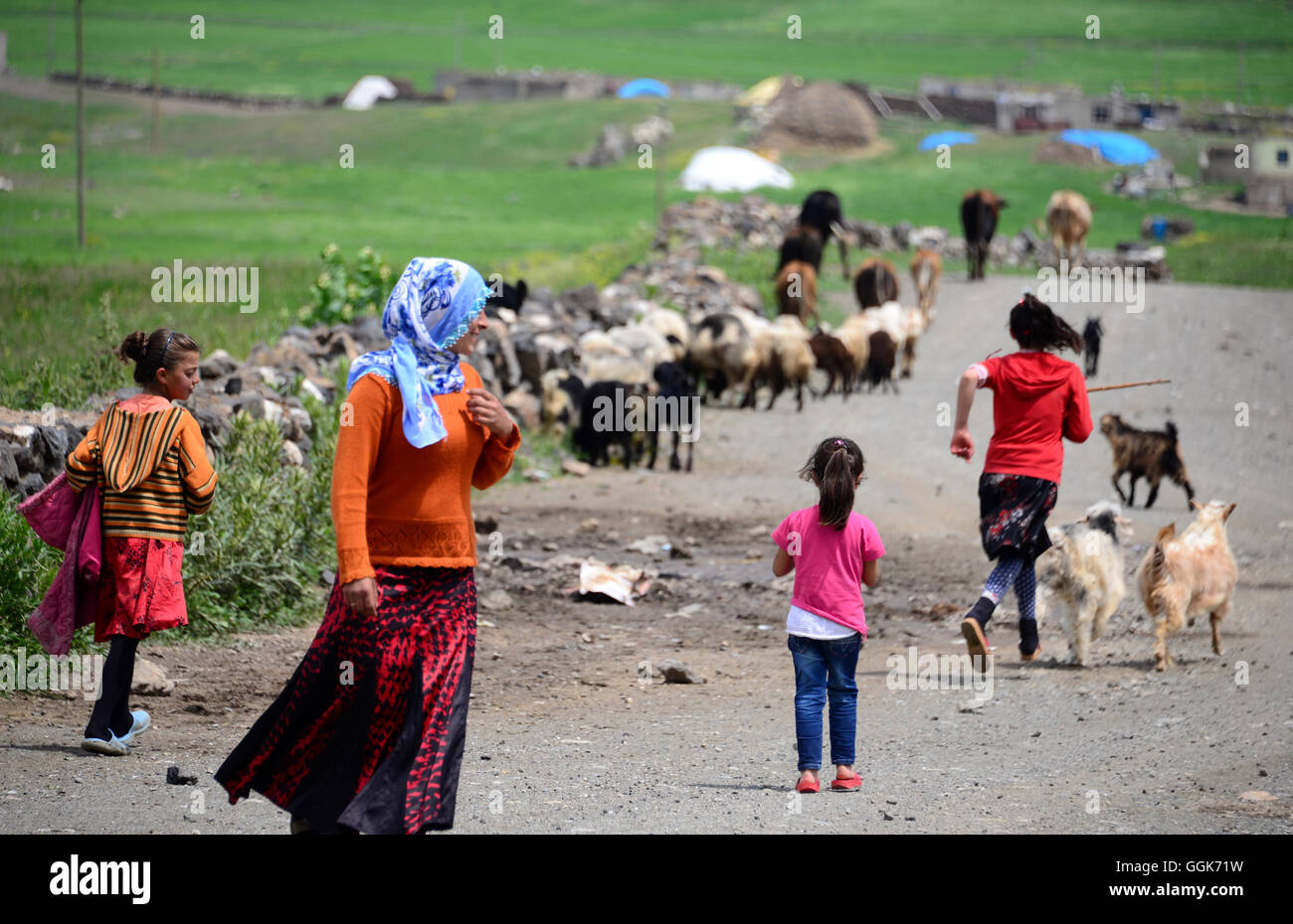 In un villaggio vicino a Dogubayazit Ararat, curdi della zona popolata, Anatolia orientale, orientale della Turchia Turchia Foto Stock