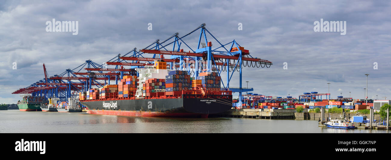 Panorama con navi merci in container terminal Burchardkai, Waltershof, Amburgo, Germania Foto Stock