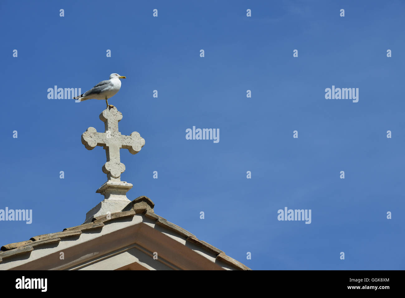 Lonely seagull sulla parte superiore di una croce in marmo a Roma Foto Stock