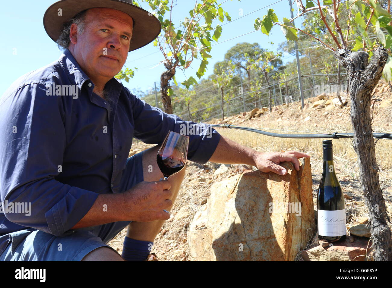 Enologo david jones la degustazione di vino in un vigneto a Dalwhinnie Vini, Moonambel, Australia Foto Stock